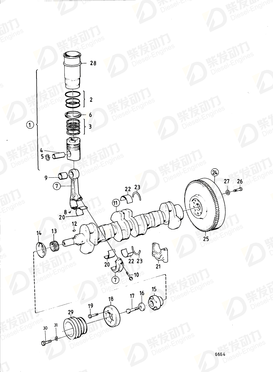 VOLVO Cylinder liner kit 876568 Drawing